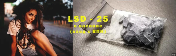 спайс Гусев