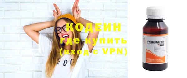 прущие грибы Дмитровск