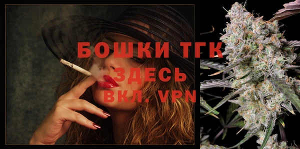 спайс Гусев