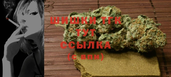 спайс Гусев